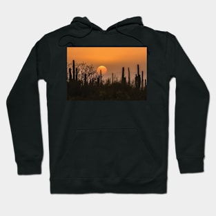 Saguaro Cactus At Sunset Hoodie